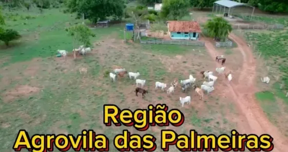 Fazenda/Sítio com 2 Quartos à venda, 249m² no , Santo Antônio de Leverger