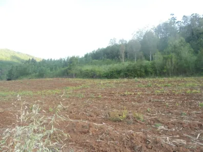 Fazenda/Sítio com 1 Quarto à venda, 10000m² no Bairro Vila Nova, Santa Maria do Herval