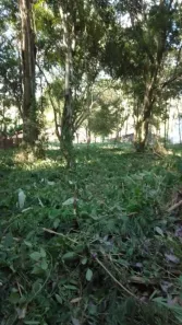 Lote/Terreno à venda, 2295m² no Loteamento Chácaras Ingrid, Taubaté