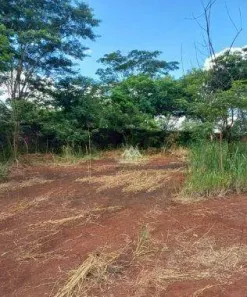 Lote/Terreno para alugar, 3200m² no Vila Carvalho, Ribeirão Preto