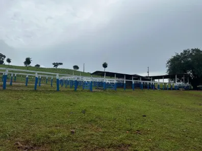 Fazenda/Sítio com 3 Quartos à venda, 3678400m² no , Faina