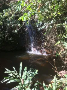 Fazenda/Sítio à venda, 43000m² no , Piracaia