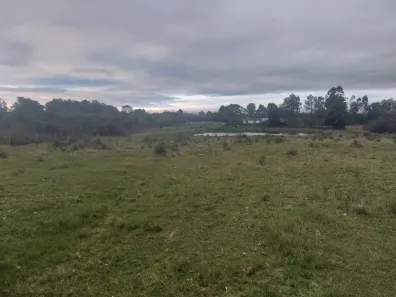 Lote/Terreno à venda, 15000m² no Arvorezinha, Bagé