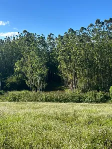 Lote/Terreno à venda, 500m² no Nakamura Park, Cotia