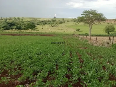 Fazenda/Sítio à venda, 193600m² no , Bela Vista do Paraíso