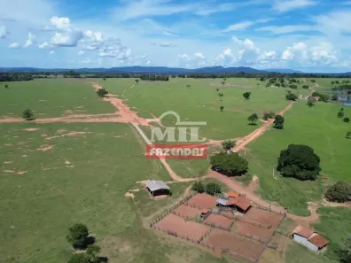 Fazenda/Sítio à venda, 500m² no , Novo Brasil