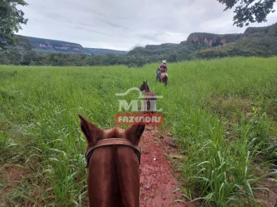 Fazenda/Sítio à venda, 500m² no , Torixoréu