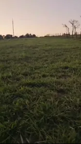 Lote/Terreno à venda, 1850m² no , Guapó