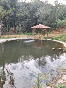 Fazenda/Sítio com 2 Quartos à venda, 27000m² no Roseira, Colombo