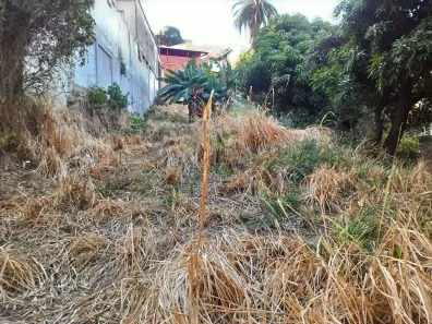 Lote/Terreno à venda, 770m² no Palmeiras, Belo Horizonte