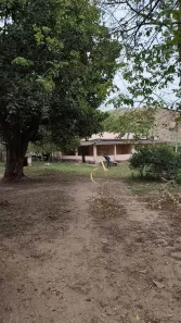 Fazenda/Sítio com 2 Quartos à venda, 30000m² no Campo Alegre, Nova Iguaçu