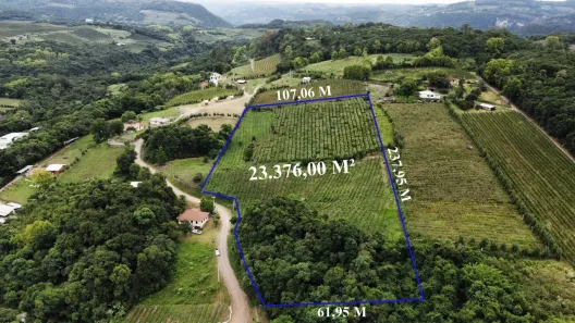 Fazenda/Sítio à venda, 23376m² no Vale dos Vinhedos, Bento Gonçalves