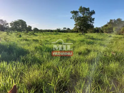 Fazenda/Sítio à venda, 1m² no , Araguaçu