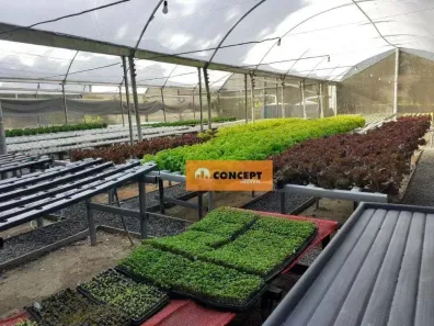 Fazenda/Sítio com 2 Quartos à venda, 160m² no Itapeti, Mogi das Cruzes