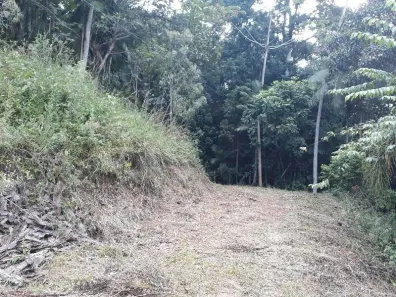 Lote/Terreno à venda, 20000m² no Vila Germer, Timbó