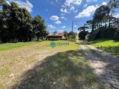Lote/Terreno à venda, 1393m² no Pedancino, Caxias do Sul