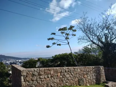 Lote/Terreno à venda, 534m² no Córrego Grande, Florianópolis