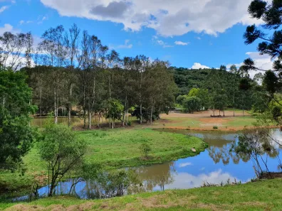 Fazenda/Sítio com 5 Quartos à venda, 105000m² no Santa Lúcia do Piaí, Caxias do Sul