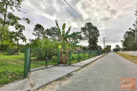 Lote/Terreno à venda, 4100m² no Campeche, Florianópolis