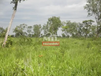 Fazenda/Sítio à venda, 500m² no , São Félix do Araguaia