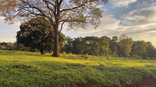 Lote/Terreno à venda, 3000m² no Morumbi, Cascavel
