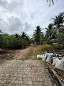 Fazenda/Sítio com 2 Quartos à venda, 120000m² no , Monte Alegre