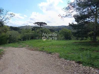 Lote/Terreno à venda, 1050m² no Lamenha Pequena, Curitiba