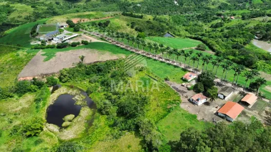 Fazenda/Sítio à venda, 350000m² no Ebenezer, Gravatá