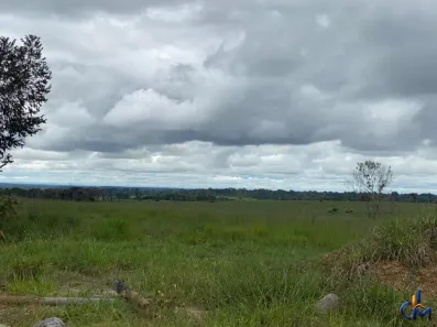 Fazenda/Sítio com 2 Quartos à venda, 120000000m² no Jardim América, Vilhena