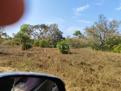 Fazenda/Sítio com 1 Quarto à venda, 1m² no , Barão de Melgaço