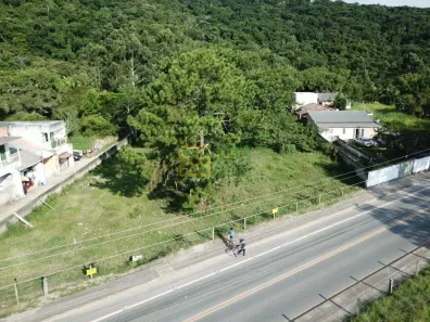 Lote/Terreno à venda, 4500m² no Alto Perequê, Porto Belo