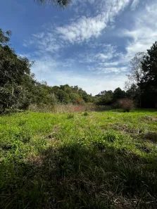 Fazenda/Sítio à venda, 20445m² no Alphaville Graciosa, Pinhais