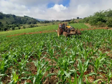Fazenda/Sítio com 4 Quartos à venda, 2565200m² no Conceição do Rio Verde, Conceição do Rio Verde