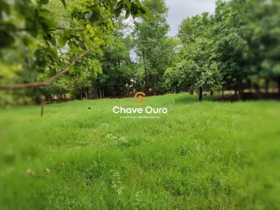 Fazenda/Sítio com 3 Quartos à venda, 180m² no Zona Rural, Missal