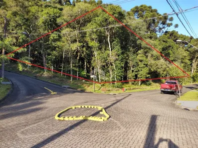 Lote/Terreno à venda, 659m² no Pinheiro Grosso, Canela