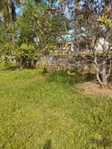 Fazenda/Sítio com 3 Quartos à venda, 250m² no , Terezópolis de Goiás