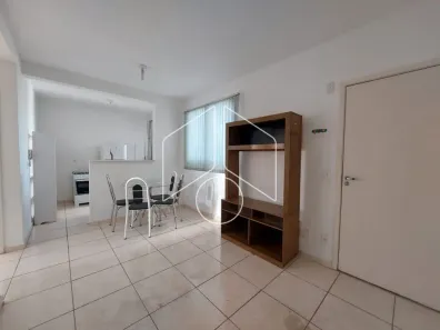 Apartamento com 2 Quartos à venda, 60m² no Jardim Califórnia, Marília