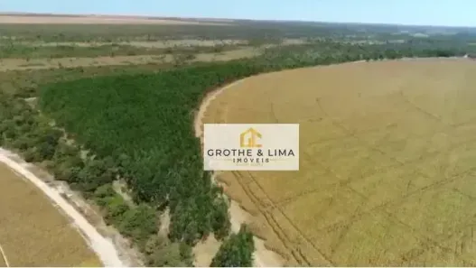 Fazenda/Sítio com 10 Quartos à venda, 500m² no Chacaras Botelho, Luís Eduardo Magalhães