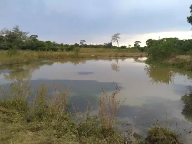 Fazenda/Sítio à venda, 2800000m² no , Arinos
