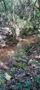 Fazenda/Sítio com 2 Quartos à venda, 10000m² no , Caetanópolis