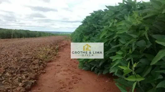 Fazenda/Sítio à venda, 13810000m² no Centro, Terenos