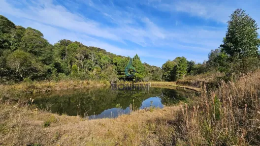 Fazenda/Sítio à venda, 30800m² no Parque Industrial, Quitandinha