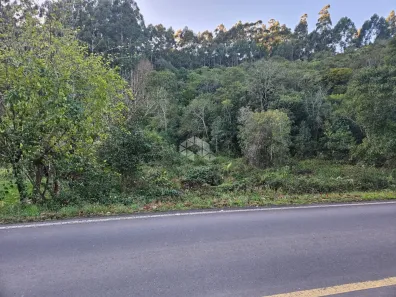 Lote/Terreno à venda, 46693m² no , Garibaldi