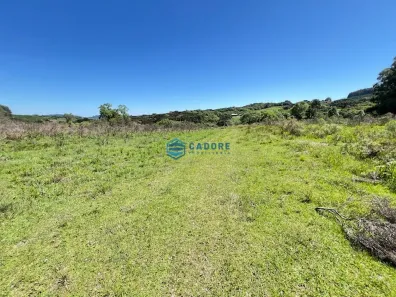 Fazenda/Sítio à venda, 250000m² no Vila Seca, Caxias do Sul