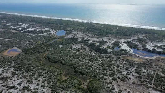 Lote/Terreno à venda, 450000m² no , Conde