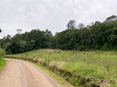 Fazenda/Sítio à venda, 77000m² no Vila Olinda, Nova Petrópolis