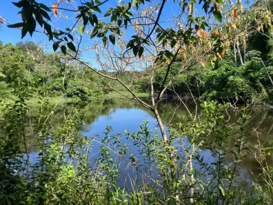 Fazenda/Sítio à venda, 1400000m² no Cipolândia, Aquidauana
