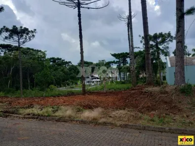Lote/Terreno à venda, 811m² no Nova Petrópolis, Nova Petrópolis