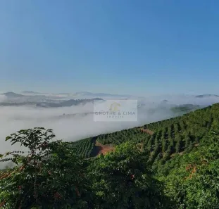 Fazenda/Sítio à venda, 2000m² no , São Lourenço