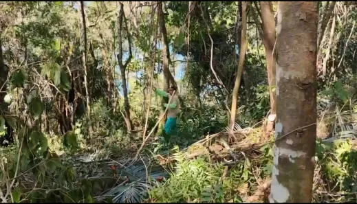 Lote/Terreno à venda, 650m² no Frade (Cunhambebe), Angra dos Reis